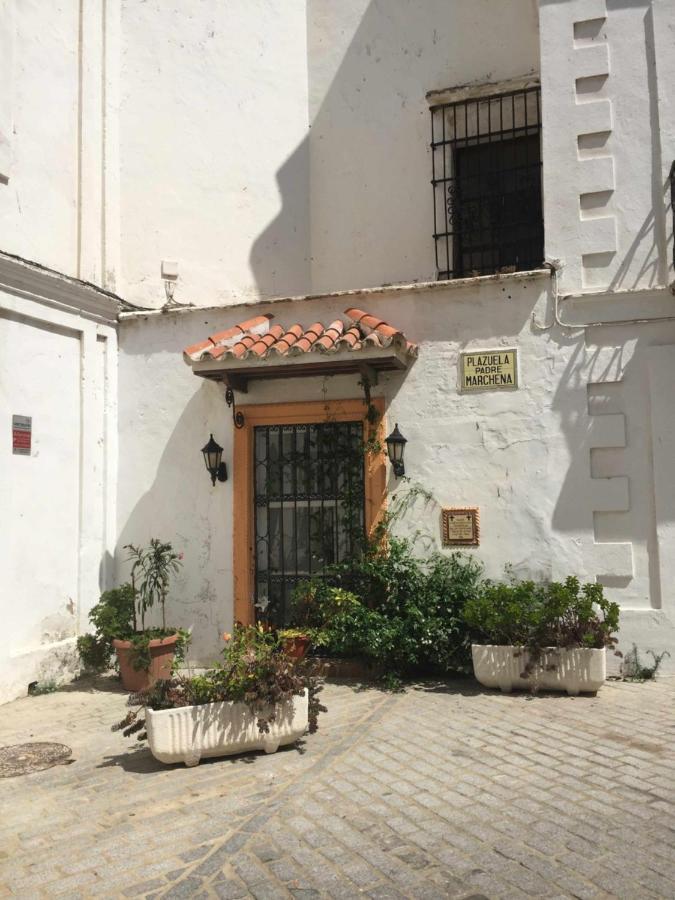 Erizo 3 Loft Diafano En El Centro Historico Daire Tarifa Dış mekan fotoğraf